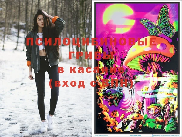 ешки Алзамай